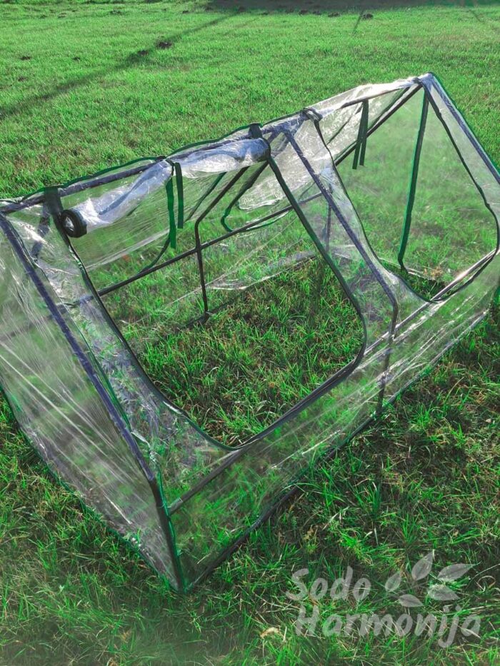 Šiltlysvė daigykla