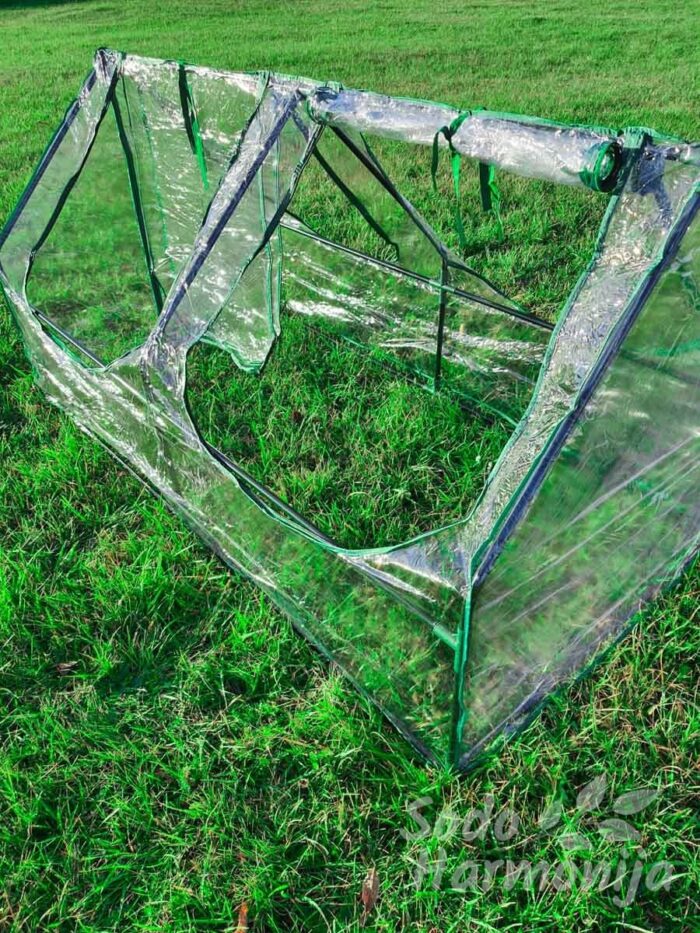 Daigykla šiltlsyvė