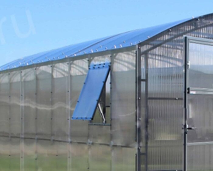 Orlaidė šiltnamiui nova